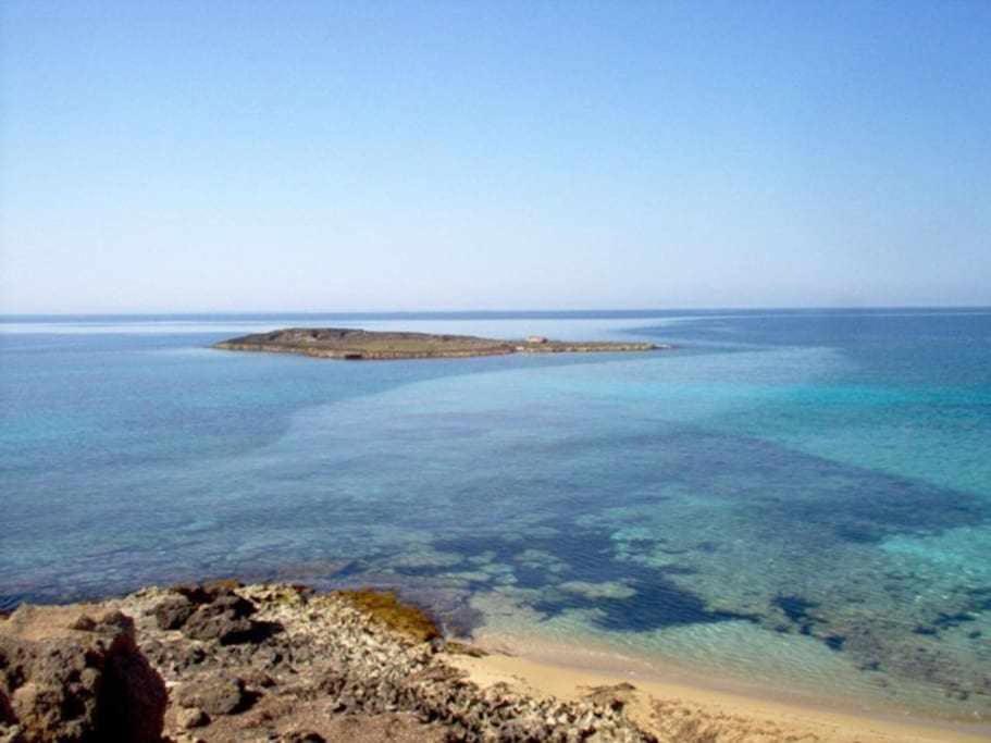 Apartament App Girasole 1A 300 Metri Dal Mare In Salento Torre San Giovanni Ugento Zewnętrze zdjęcie